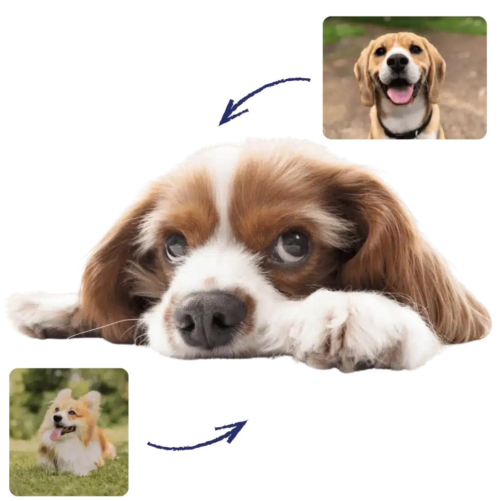 Dog Waste Removal in Santa Monica Fido