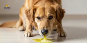 Home 10 Why Is My Dog Spewing Yellow? Causes and What to Do