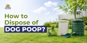 How to Dispose of Dog Poop